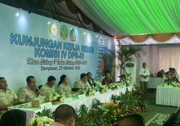 Menhut Raja Juli Minta Maaf Pembakaran Barang Bukti Mahkota Cenderawasih Dapat Reaksi Dari Warga Papua