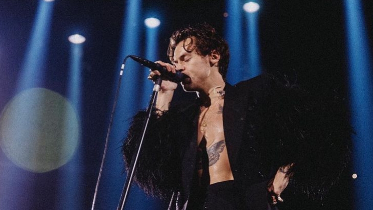 Harry Styles Jadi Saudara Thanos di 'Eternals'