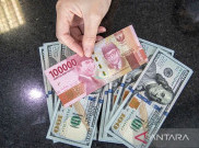 CEO Diminta Pantau Neraca Keuangan di Tengah Pelemahan Rupiah