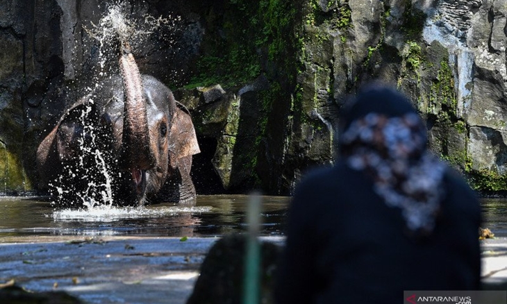 H+1 Lebaran Wisata Ragunan Buka, Hanya untuk Warga DKI