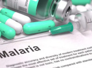 Malaria; Gejala, Penyebab, dan Penanganan, Jangan Anggap Enteng!
