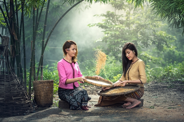 Trivia5_ selain keindahan wisata alamnya thailand menduduki peringkt lima penghasil beras terbaik_ foot by pixabay (sasint)