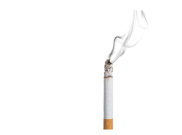 Cukai Rokok Tak Naik 2026: Antara Kepentingan Ekonomi dan Ancaman Kesehatan Publik