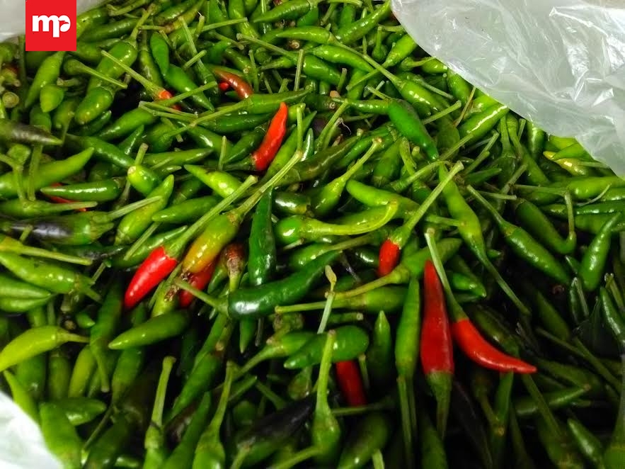 Cuaca Buruk Picu Naiknya Harga Cabai