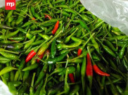 Cuaca Buruk Picu Naiknya Harga Cabai