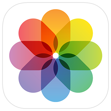 Panduan Lengkap Cara Mengorganisir Foto di Apple Photos dengan Mudah