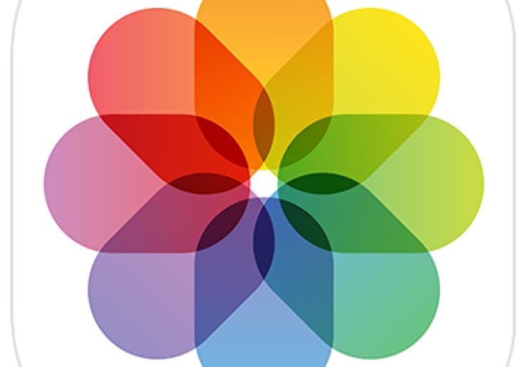 Panduan Lengkap Cara Mengorganisir Foto di Apple Photos dengan Mudah