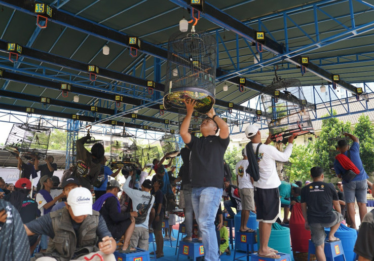 Mendag Budi Santoso Dorong Pertumbuhan Ekonomi lewat Hobi Burung Kicau