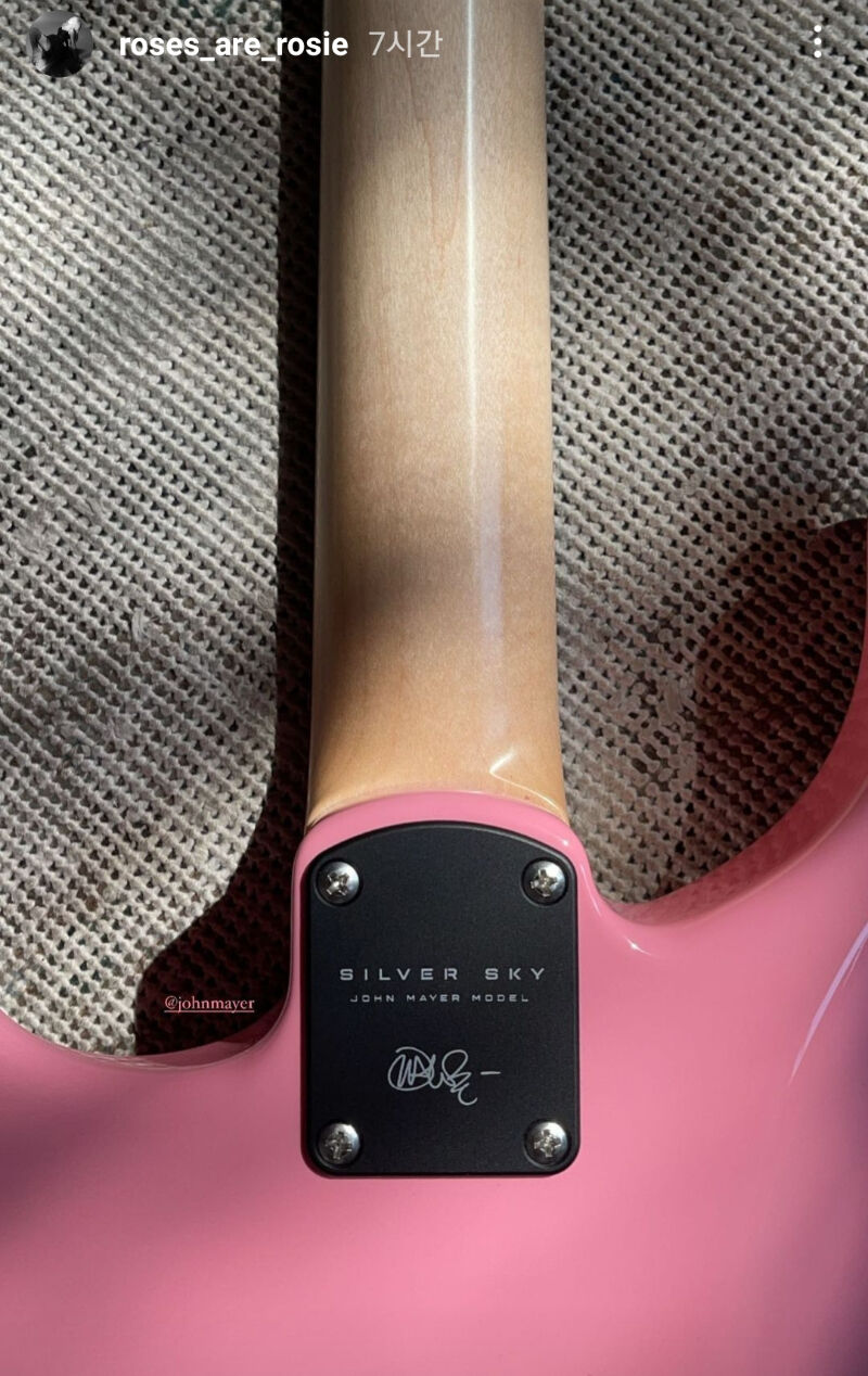 Silver Sky Guitar. (Foto Instagram/roses_are_rosie)