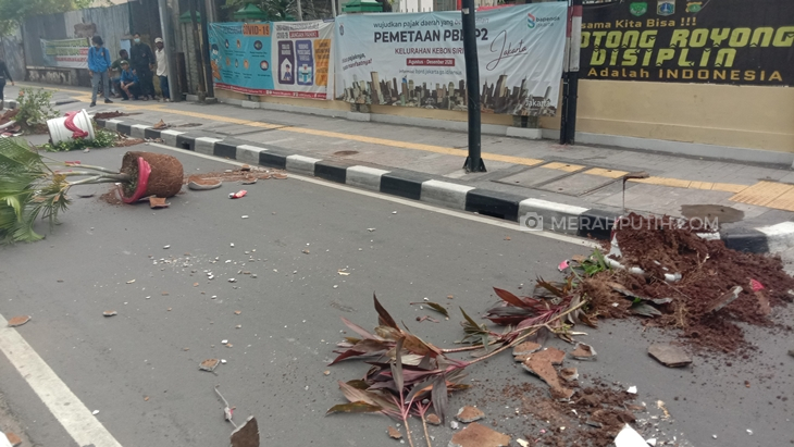 Pedemo tolak UU Cipta Kerja meruskan tanaman di depan Kelurahan Kebon Sirih. (Foto: MP/Asropih)