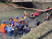 Pemprov DKI Gencar Basmi Ikan Sapu-sapu, 68 Ribu Ekor Berhasil Ditangkap