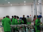 Wapres Ma'ruf Amin Sebut Pertanian Hidroponik Bisa Tingkatkan Kualitas Pangan Masyarakat