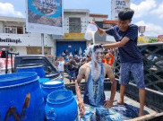 Aksi Protes Buang Susu Hasil Panen, Dinas Peternakan Jateng Angkat Bicara