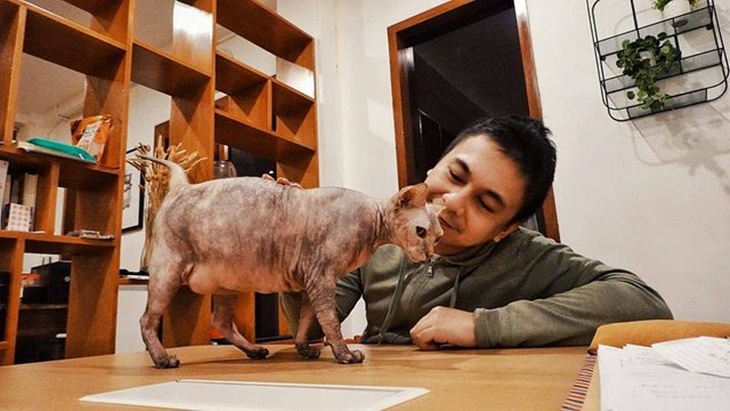 Raditya Dika Ungkap Alasan Jadikan Kucing Sebagai 'Teman Hidup'