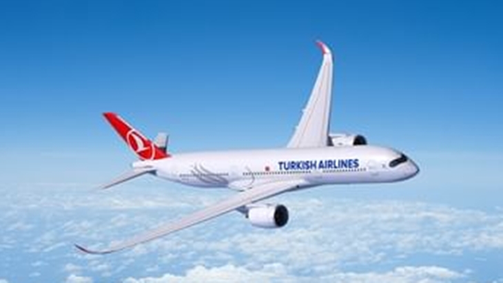 Penumpang Mabuk Serang Pramugara, Turkish Airlines Terlambat Tiba di Bandara Soetta