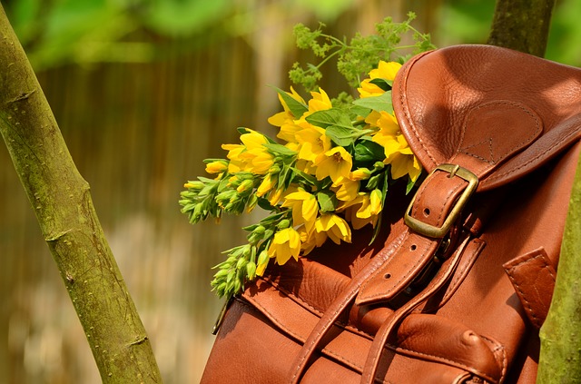 Tips Memilih Backpack