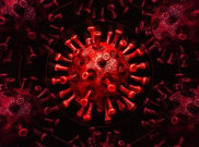 100 Ribu Kasus COVID-19 dalam 2 Hari Pemilu AS