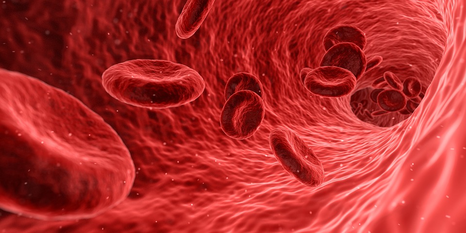 Meningkatkan kadar hemoglobin (Sumber: Pixabay/qimono)