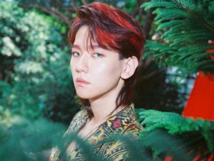 baekhyun exo