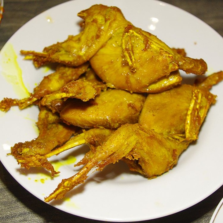Burung punai. (Foto: instagram.com/cenjkt)