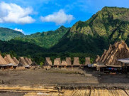 Kampung Gurusina, Desa Adat Kaya Tradisi di Flores