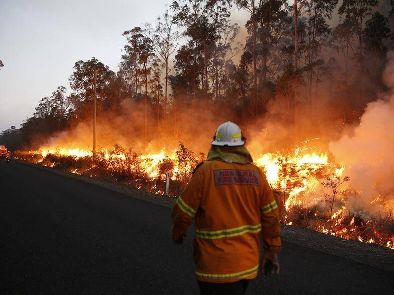 Polusi Udara Sydney saat Ini Setara Merokok 34 Batang Per Hari