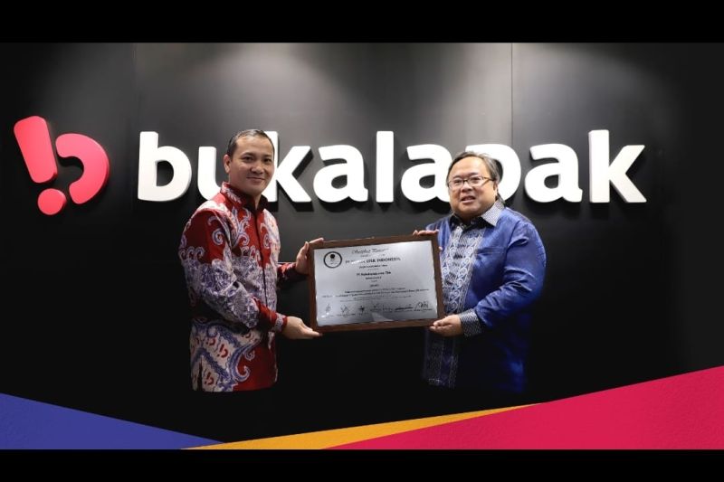 Eks CEO Bukalapak Jadi Anak Buah Luhut