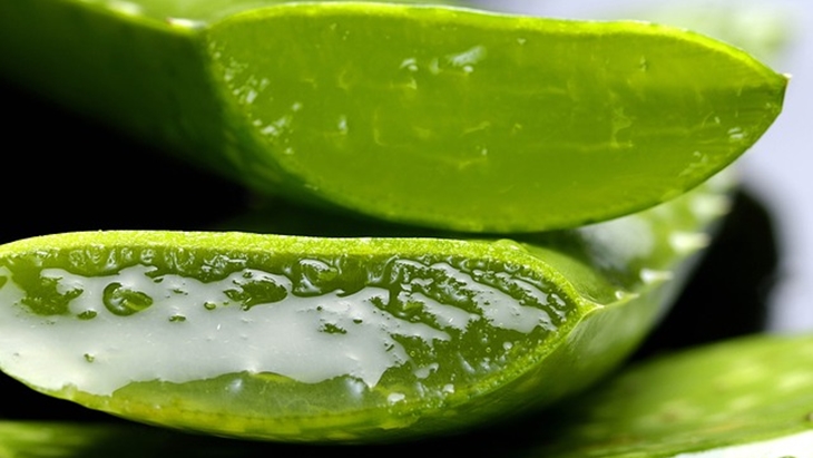 Trivia5_ gunakan product alami aloe vera _ foto by pixabay (Caselle) jpg