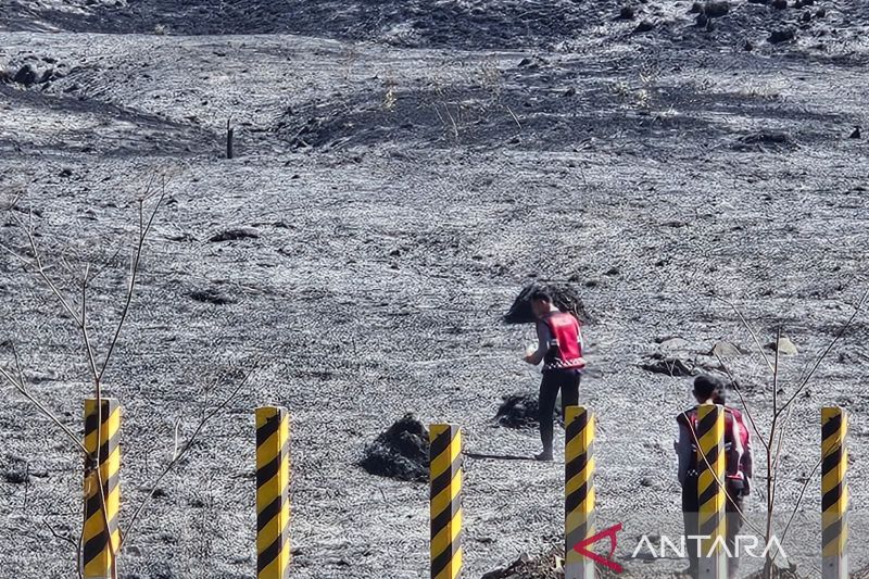 Area Kebakaran di kawasan Gunung Bromo Meluas, 520 Hektare Lahan Terbakar