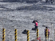 Area Kebakaran di kawasan Gunung Bromo Meluas, 520 Hektare Lahan Terbakar