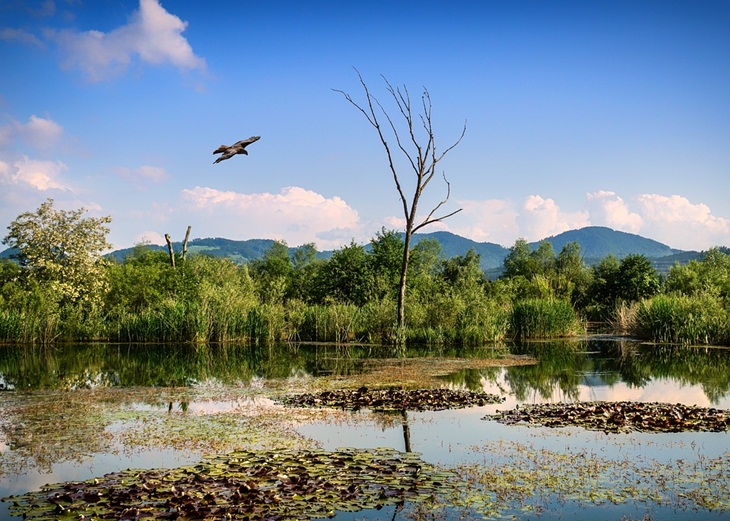  Berwisata ke cagar alam pilihan anti-mainstream untuk tahun baru. (Foto: Pixabay/liggraphy)