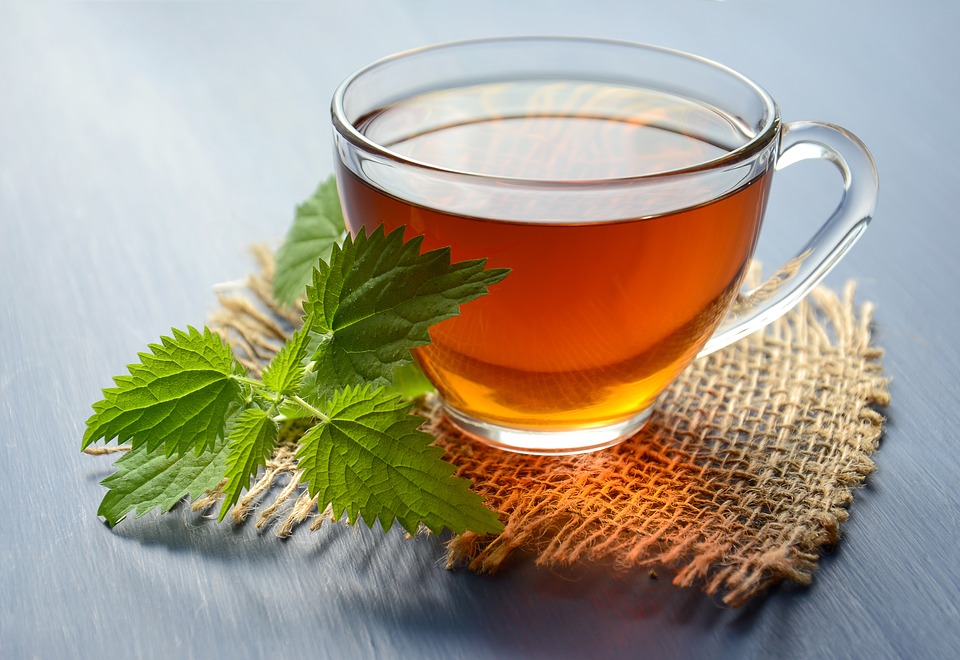 Teh jelatang (Sumber: Pixabay/Mareefe)