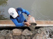 Peninggian Turap Hingga 1,5 Meter Jadi Harapan Baru Warga Rawajati Bebas dari Kepungan Banjir Ciliwung