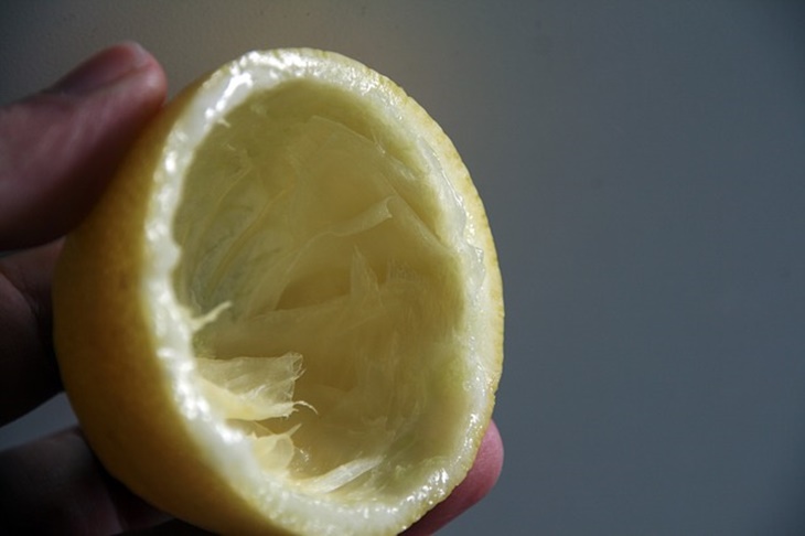 kulit buah