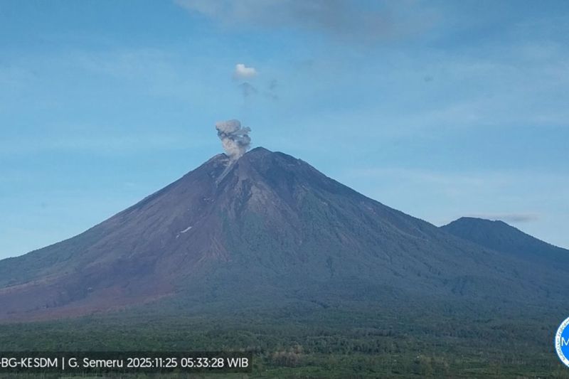 Gunung Semeru 8 Kali Erupsi Selasa Dini Hari sampai Pagi, Tinggi Letusan hingga 1 Km