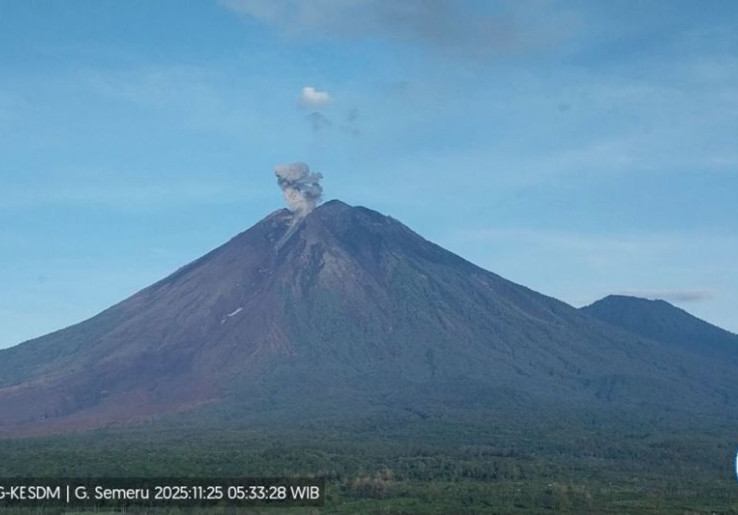 Gunung Semeru 8 Kali Erupsi Selasa Dini Hari sampai Pagi, Tinggi Letusan hingga 1 Km