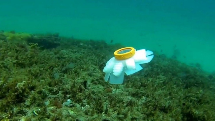 Ilmuwan Kembangkan Robot Ubur-Ubur untuk Bantu Jaga Kebersihan Laut