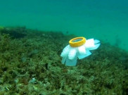 Ilmuwan Kembangkan Robot Ubur-Ubur untuk Bantu Jaga Kebersihan Laut