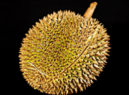 Ingin Sehat? Jangan Sembarang Konsumsi Durian
