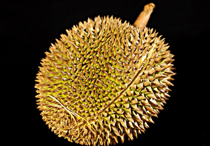 Ingin Sehat? Jangan Sembarang Konsumsi Durian