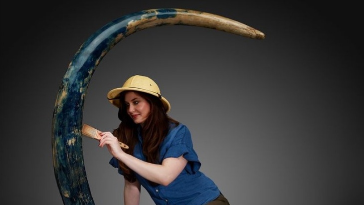 Gading Mammoth Langka Berwarna Biru Dilelang dengan Harga Fantastis