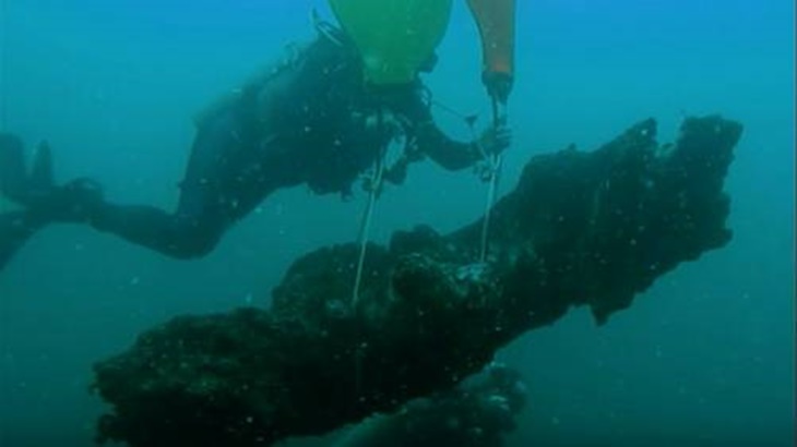 Mengejutkan! Ada Hutan di Bawah Air, Berapa Ya Usianya?