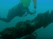 Mengejutkan! Ada Hutan di Bawah Air, Berapa Ya Usianya?