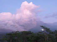 699 Warga Terdampak Erupsi Semeru Masih Bertahan di Pengungsian