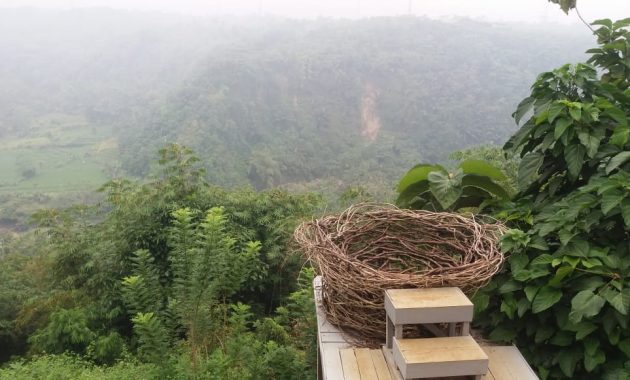 Wahana sangkar burung tepi jurang di Wana Wisata Mandiri Sayang Kaak, Ciamis (Foto: jejakpiknik)