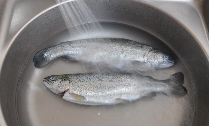 Kesalahan Mencuci Bahan Makanan yang Seringkali Kita Lakukan
