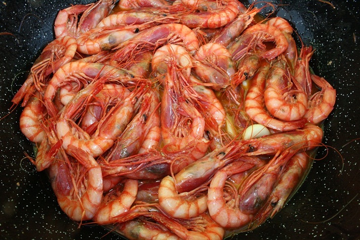 Udang. (Foto: EstudioWebDoce)