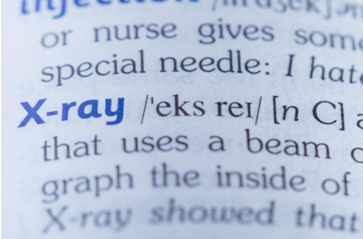 Kamus Bahasa gaul 2024