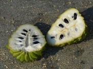 Siapa Sangka, Buah Srikaya Punya 12 Manfaat yang Menakjubkan