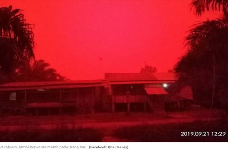  BMKG Ungkap Penyebab Langit Merah di Muaro Jambi